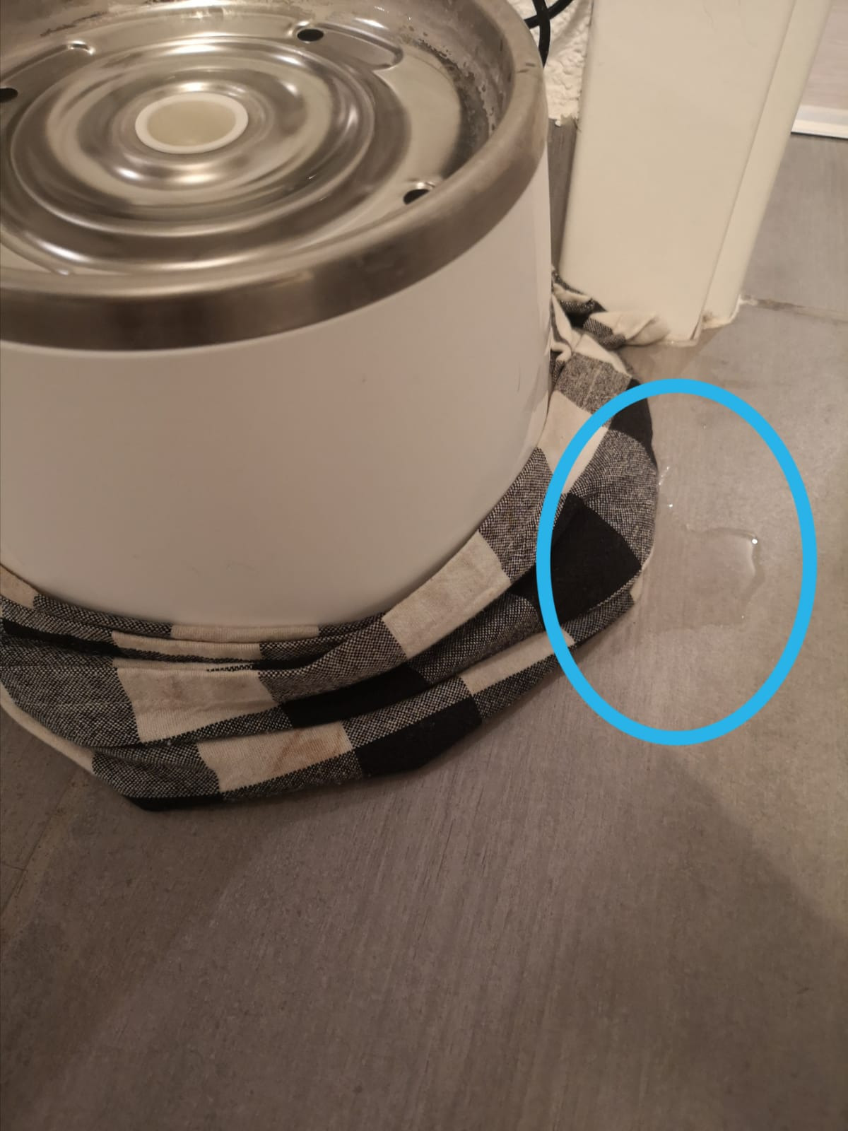 Guter Brunnen für zwei Katzen