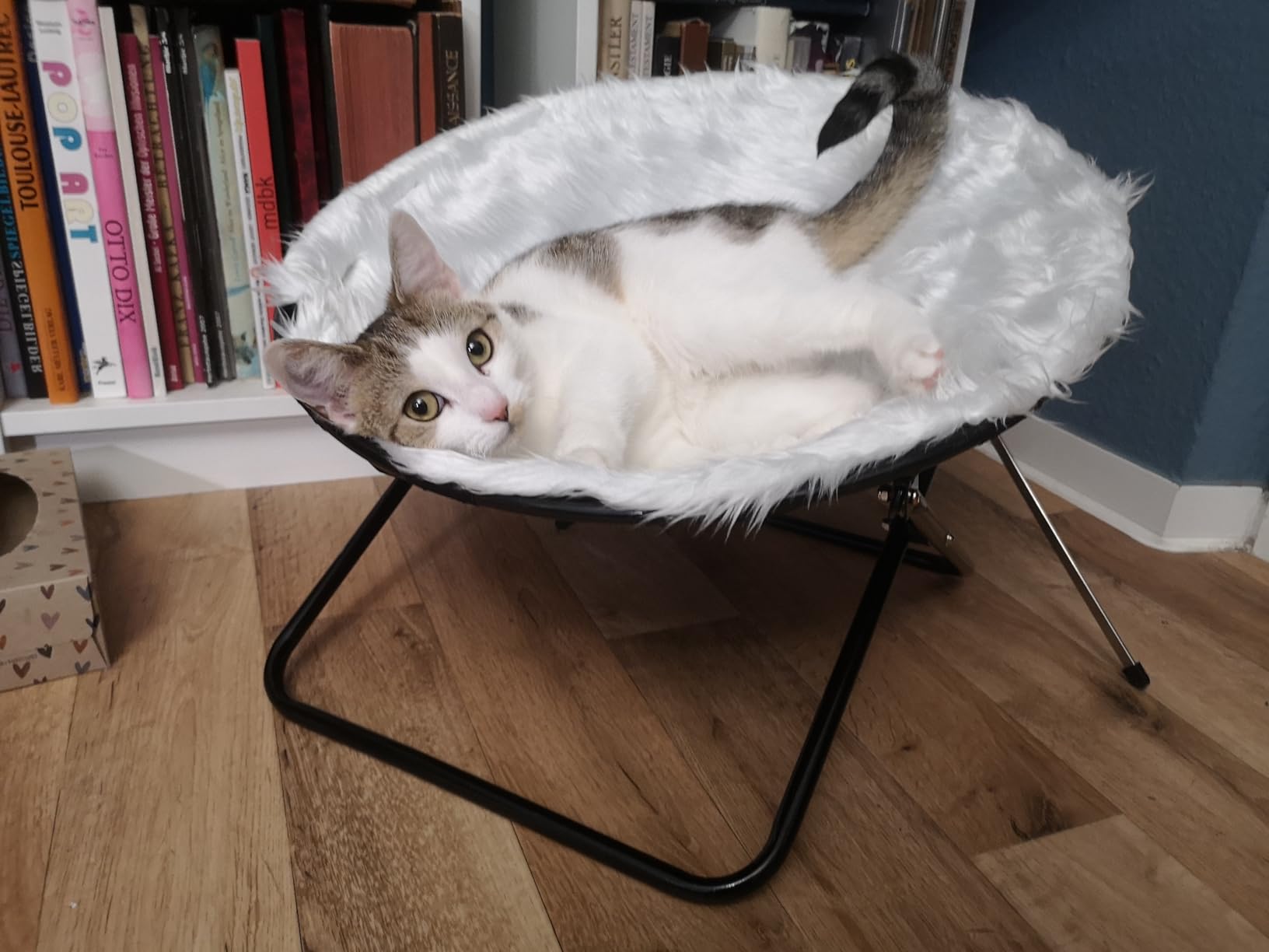 Lieblingsplatz unserer Katze