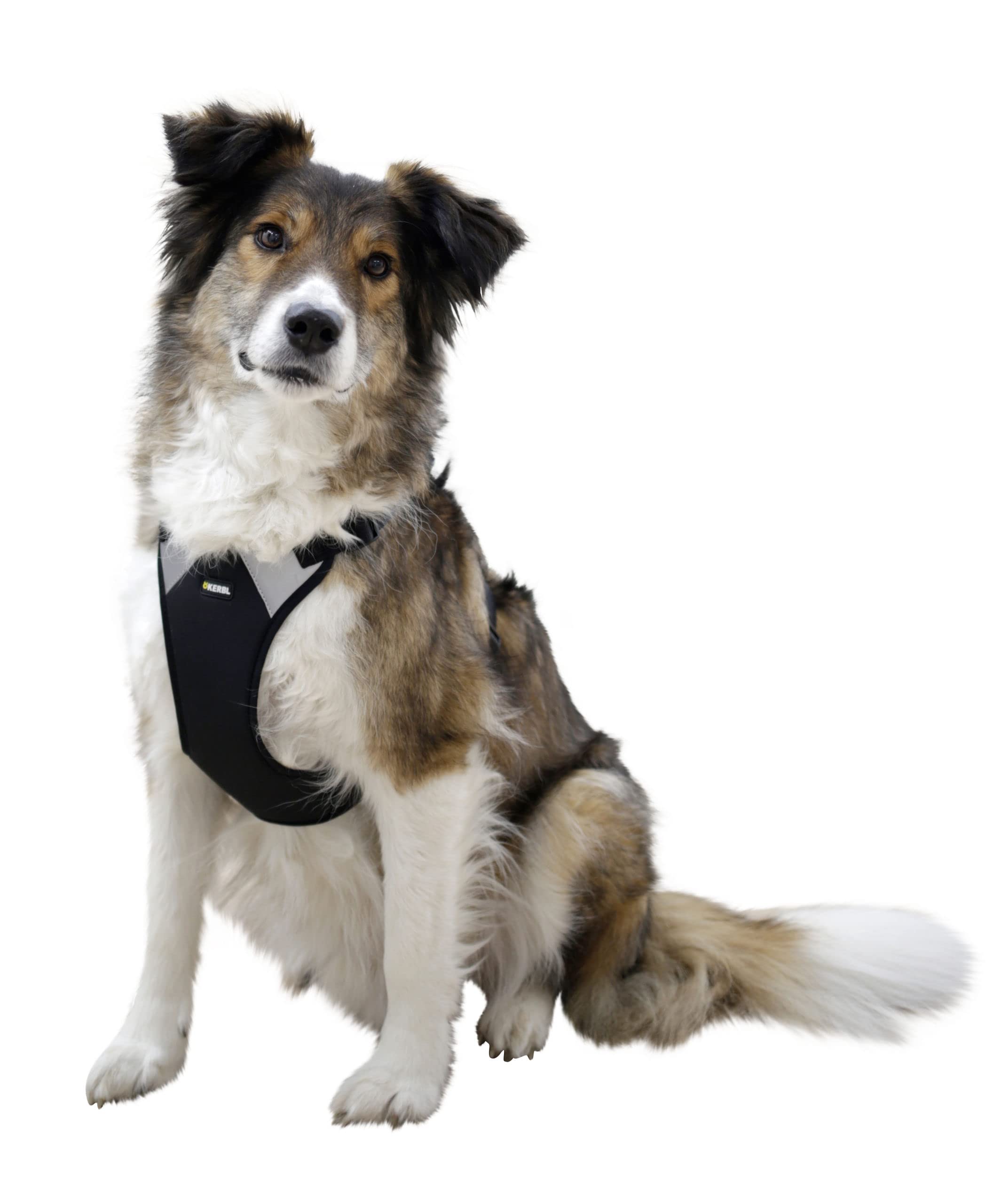 kerbl-pet-hundegeschirr-pulsive-schwarz-36-50-cm-46-60-cm image 2