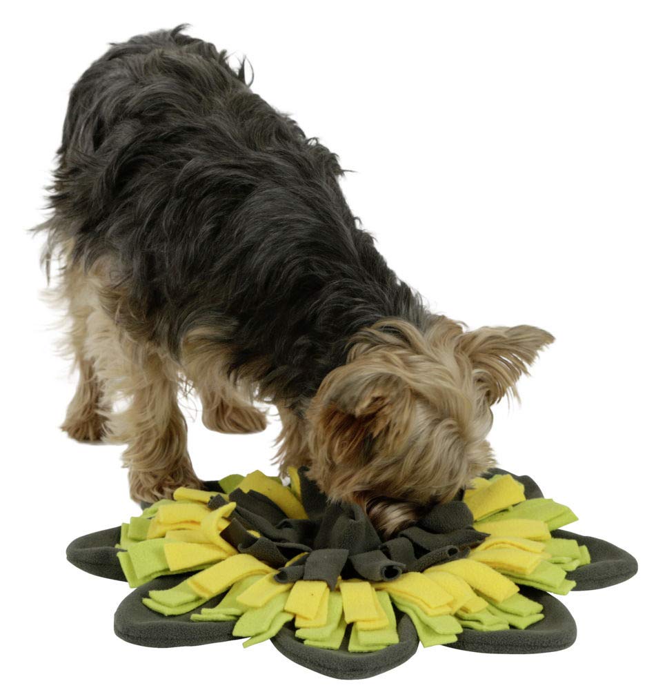 kerbl-pet-schn-ffelteppich-sunflower-f-r-hund-und-katze-gelb-gr-n-40-cm image 5