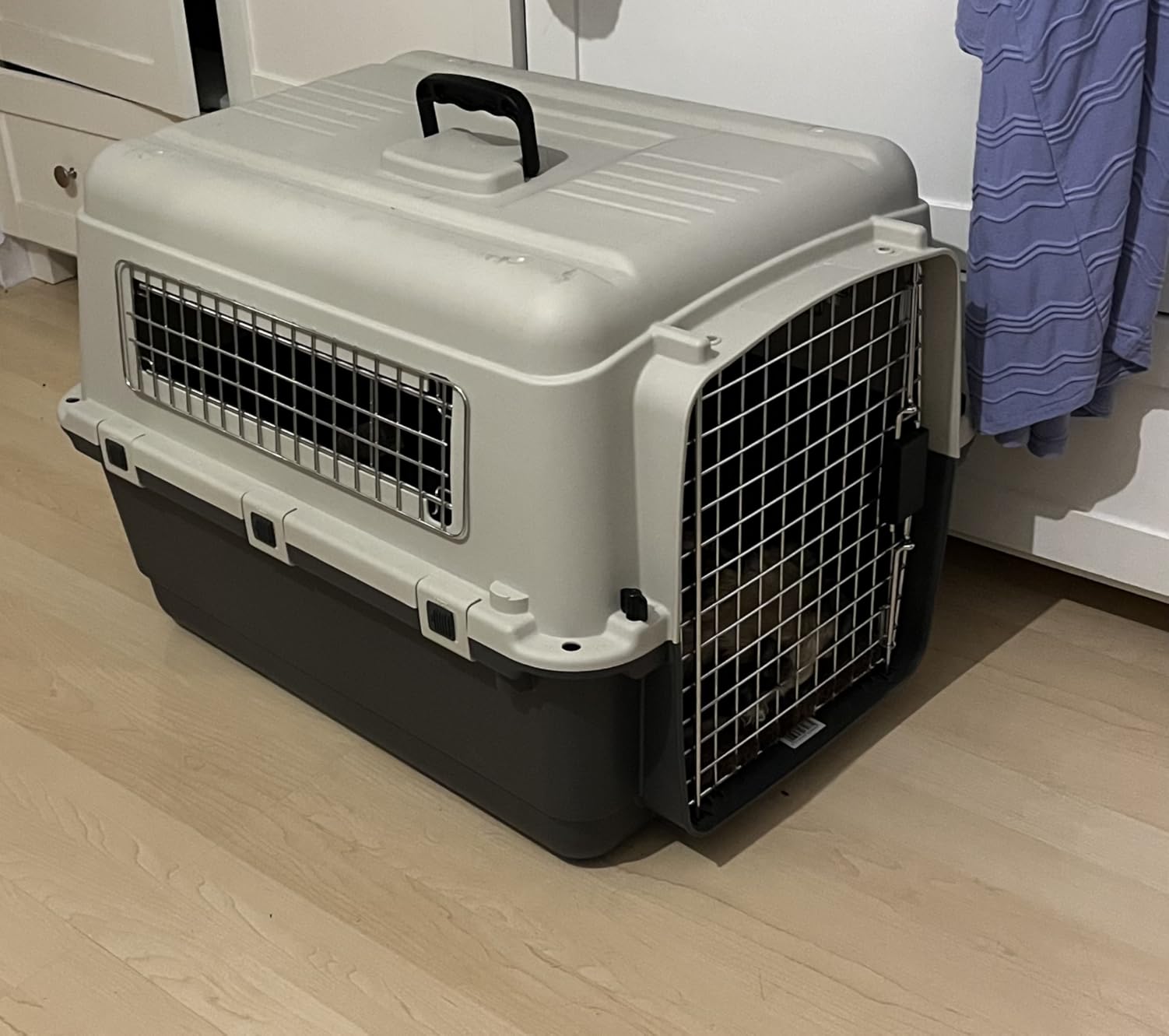 Gute Größe für mittlere Hunde