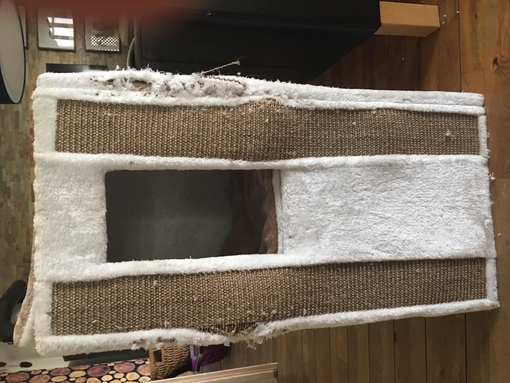 Lieblingsplatz unserer Katze