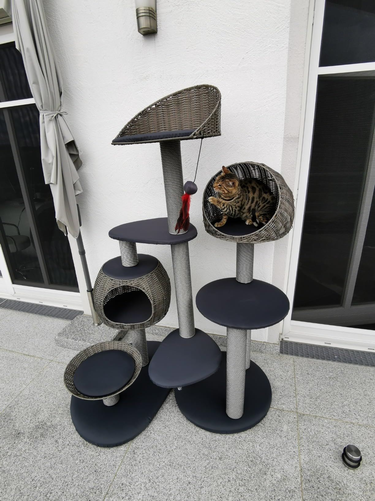Katzen lieben ihn