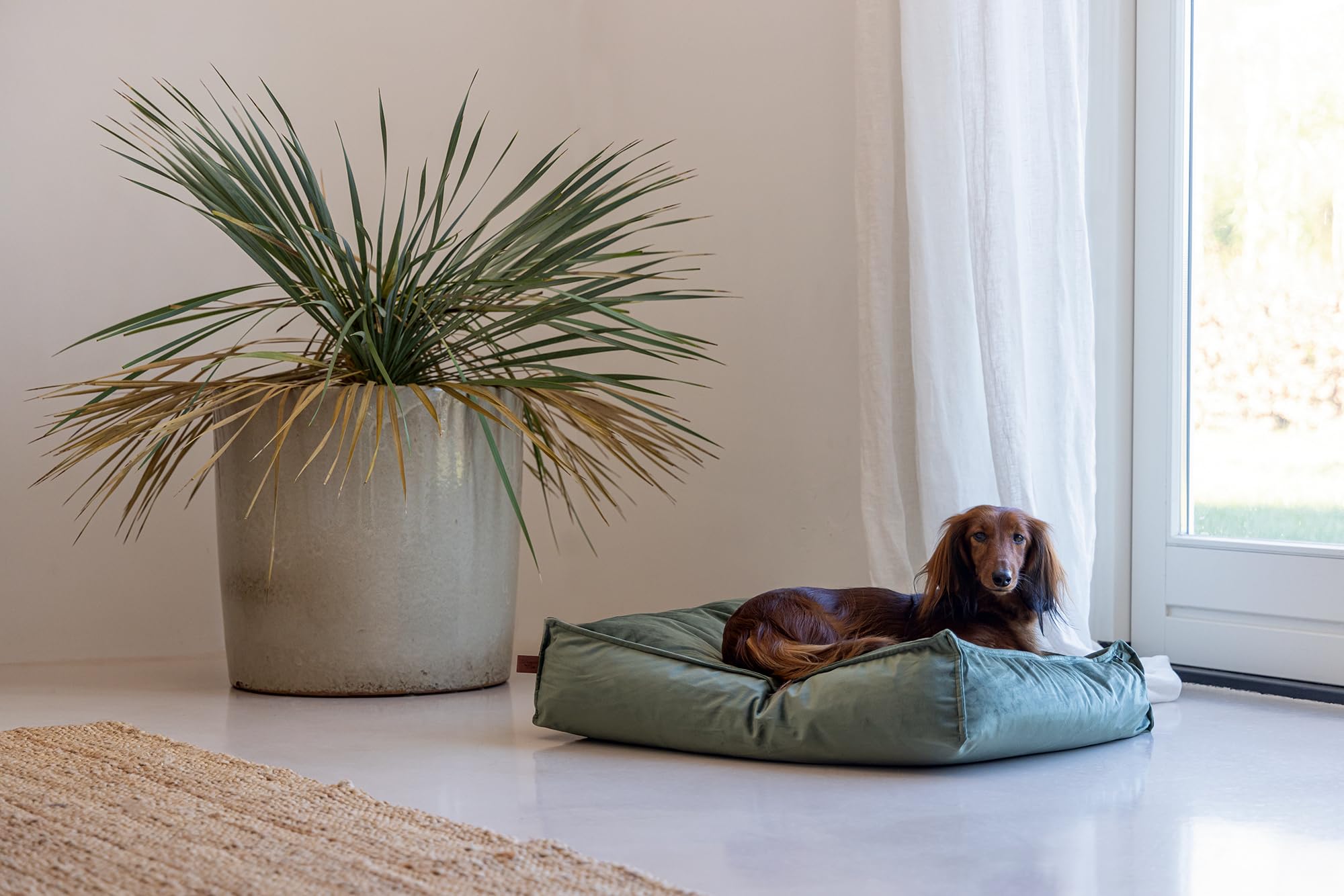 designed-by-lotte-nalino-hundekissen-samt-gr-n-70x55x15-cm image 5