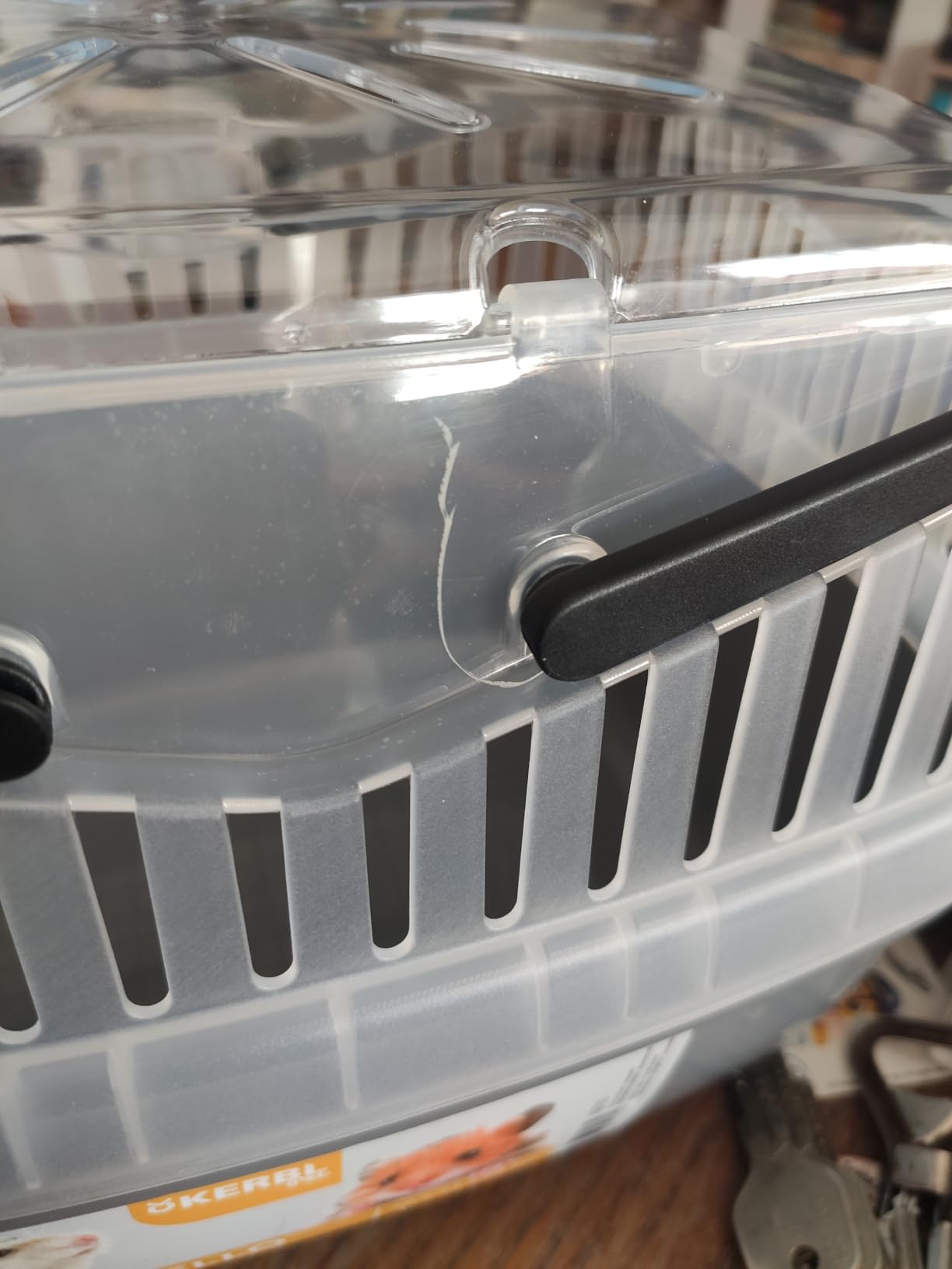 Gute Box für Meerschweinchen