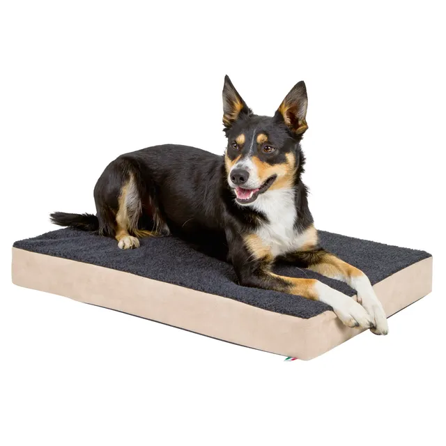 kerbl-pet-orthop-dische-memory-foam-hundematratze-80x50x8-cm-beige-anthrazit image 1