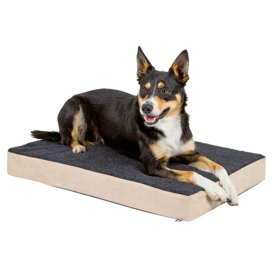 kerbl-pet-orthop-dische-memory-foam-hundematratze-80x50x8-cm-beige-anthrazit image 1