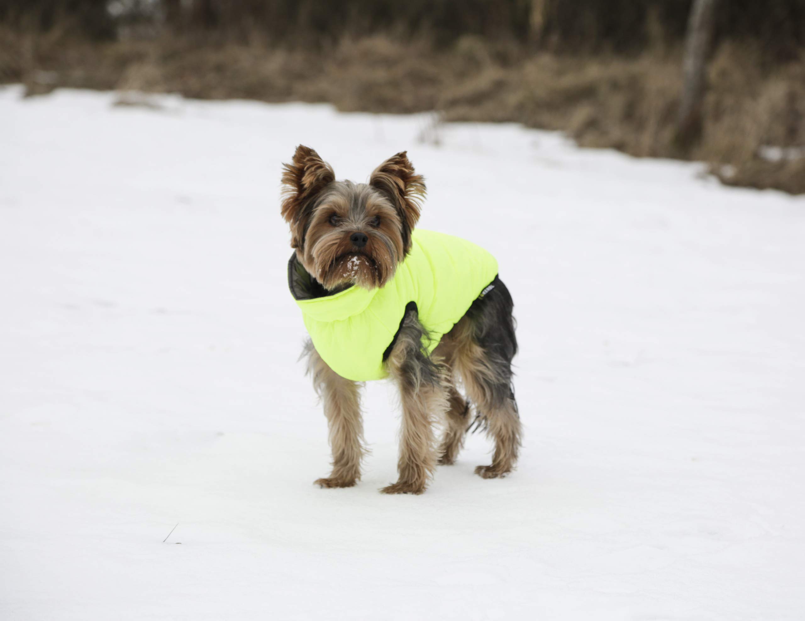 kerbl-pet-steppmantel-charmonix-xs-30-cm-grau-neon-gelb-wendbarer-hundemantel image 6