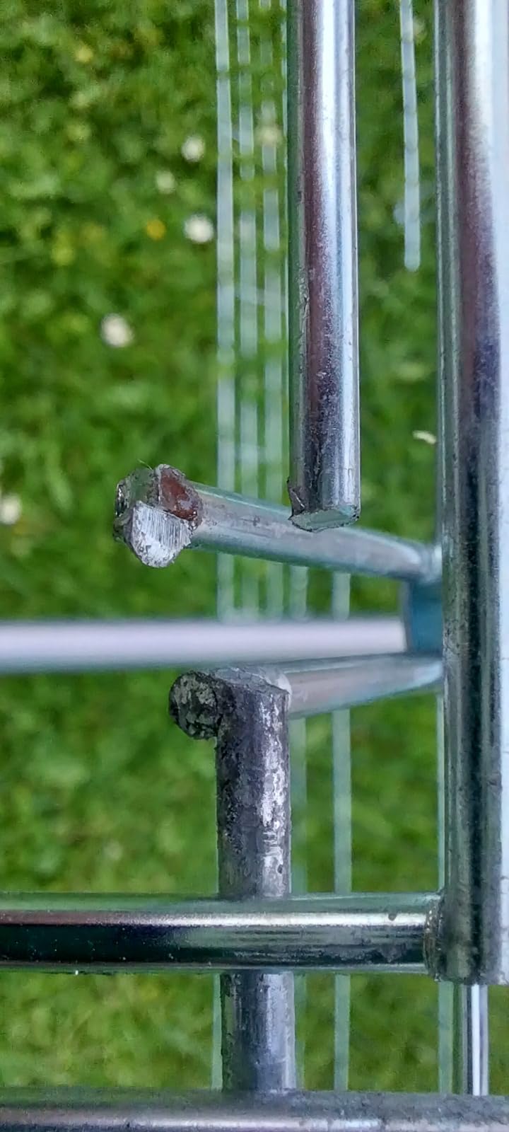Unsere Kaninchen lieben es