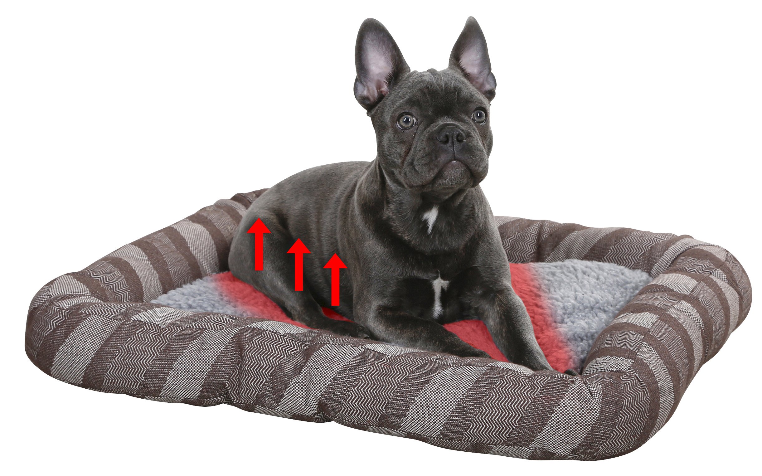 kerbl-pet-pablo-selbstw-rmendes-hundeliegebett-80-x-55-cm-grau image 2