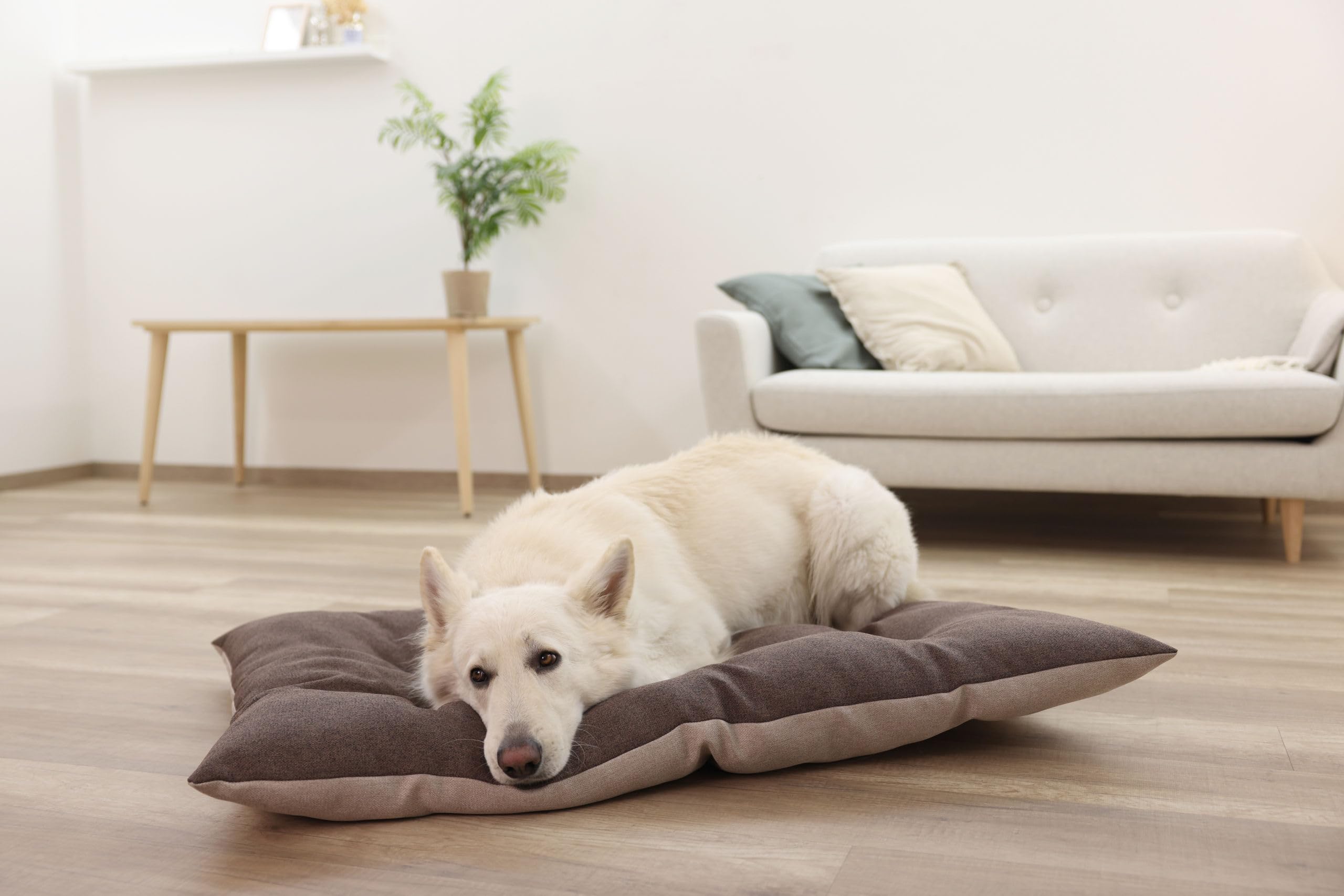 kerbl-pet-liegekissen-ely-braun-beige-45x70-cm image 8