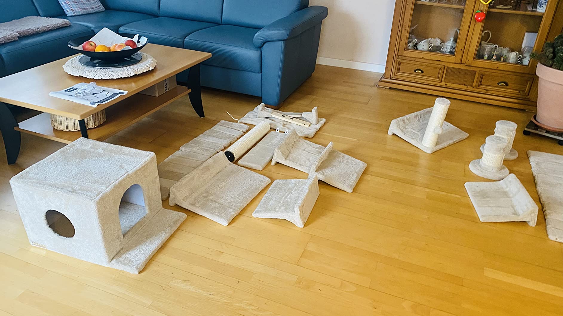 Kater liebt die Brücke