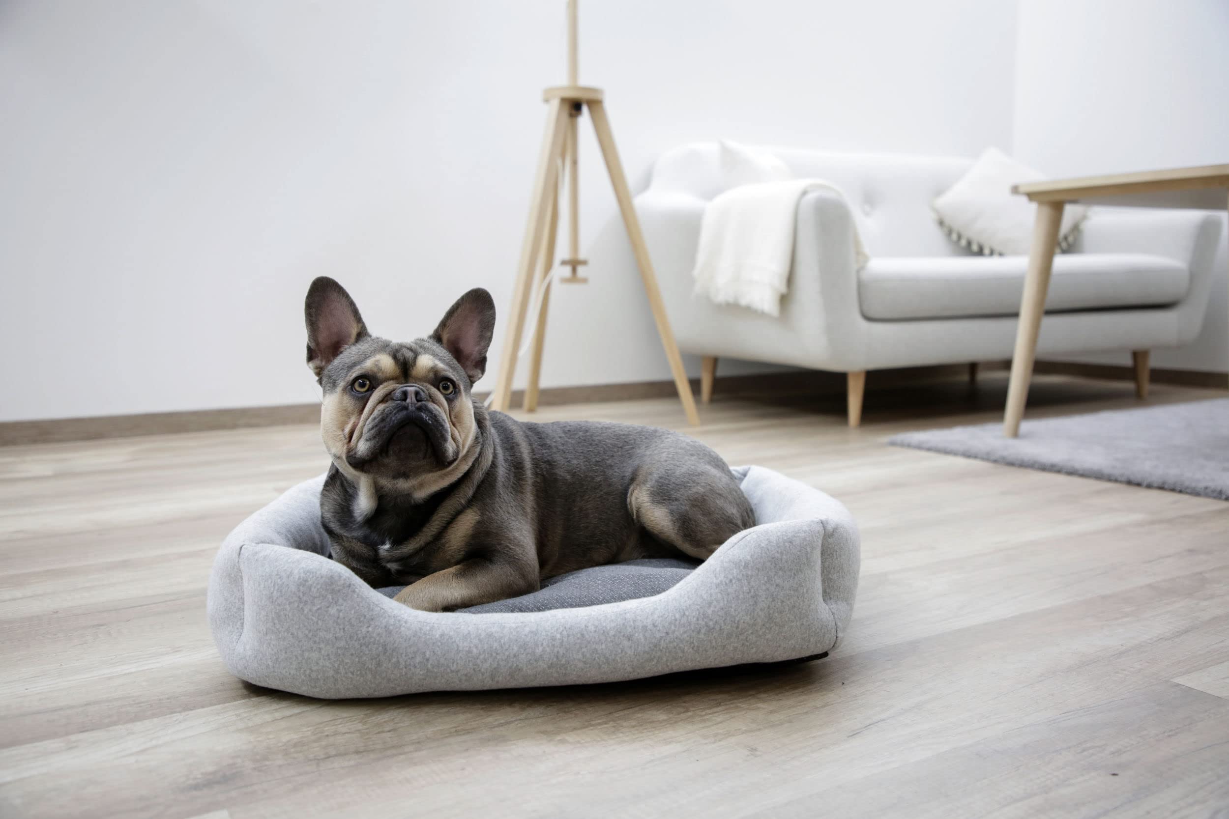 kerbl-pet-kuschelbett-graphene-hundebett-61x50x13-cm-grau image 3