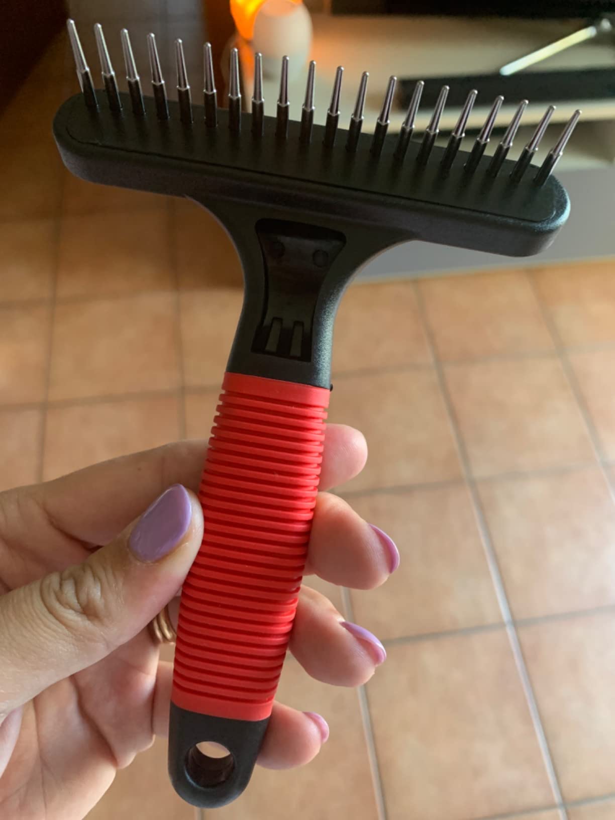 Tierarzt empfiehlt