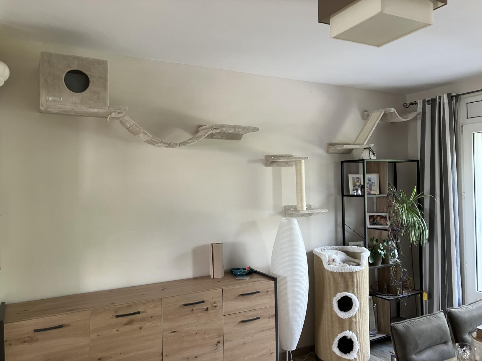 Perfekt für Wohnungskatzen