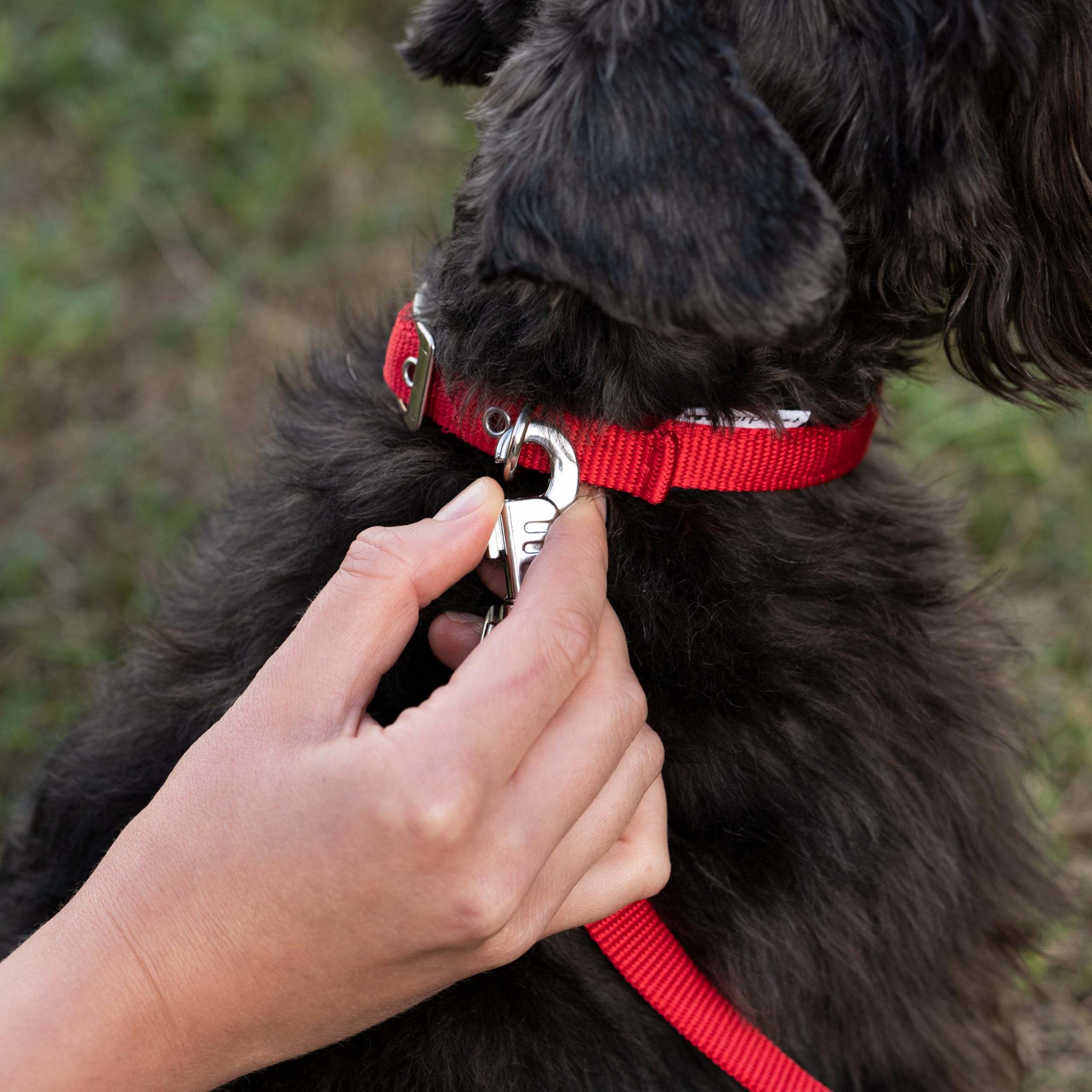 ferplast-hundehalsband-nylon-gepolstert-rot-verstellbar-23-31-cm-1-5-cm-breit image 3
