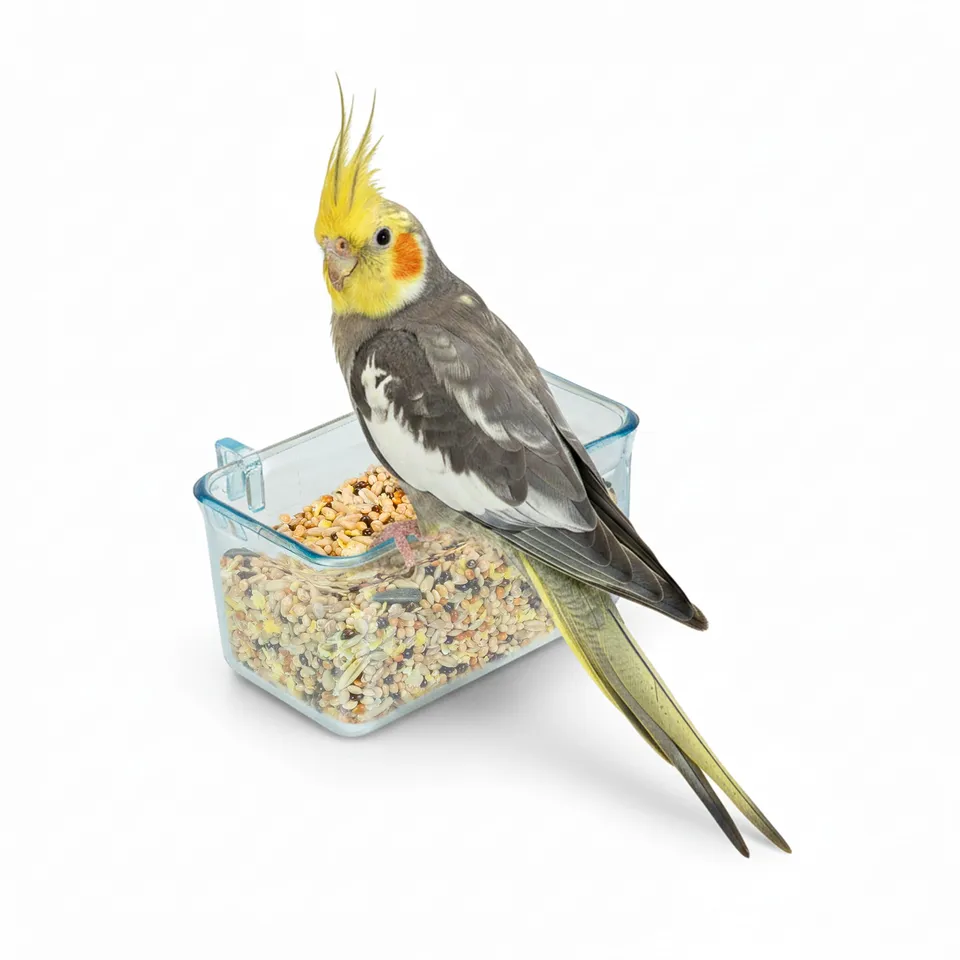 ferplast-fpi-4510-sittich-futterspender-transparent-10-3-x-6-8-x-5-1-cm image 1