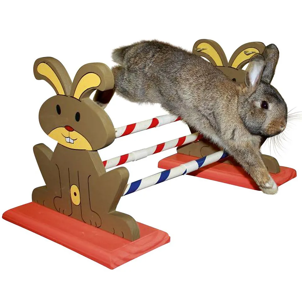 kerbl-pet-agility-nagerh-rde-62-x-33-x-34-cm image 1