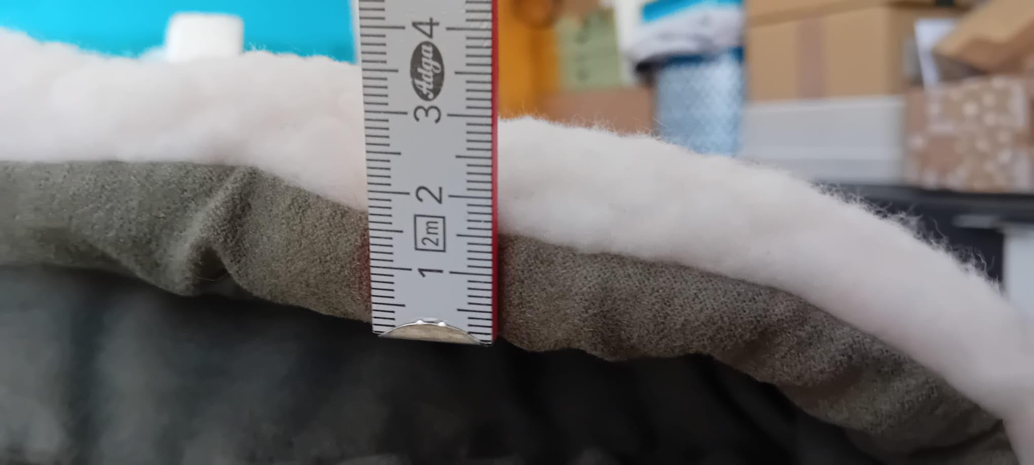 Enkelhund schläft sofort ein