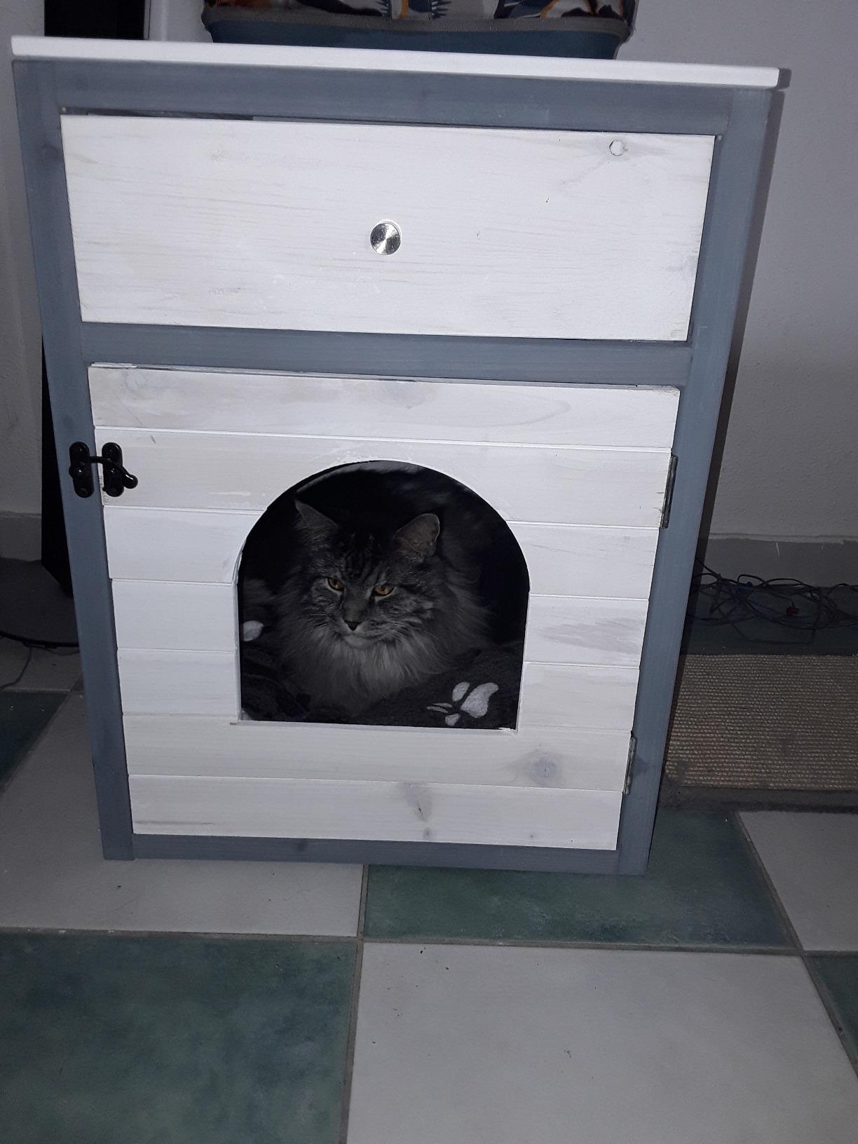 Okay für ruhige Katzen