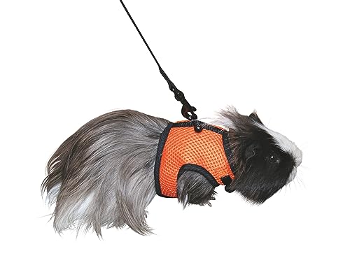 kerbl-pet-sport-meerschweinchengeschirr-mit-flexibler-leine-120-cm image 5