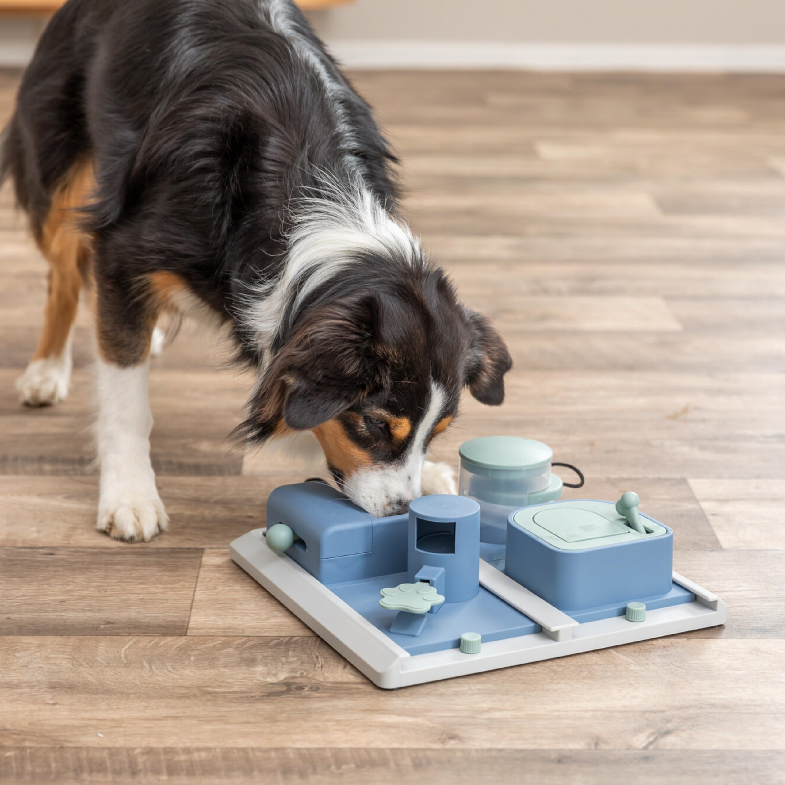 trixie-poker-box-2-strategiespiel-intelligenzspielzeug-f-r-hunde-31-x-31-cm image 3