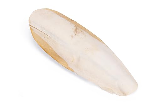karlie-sepiaschale-16-cm-mit-halterung-f-r-v-gel-und-reptilien image 8