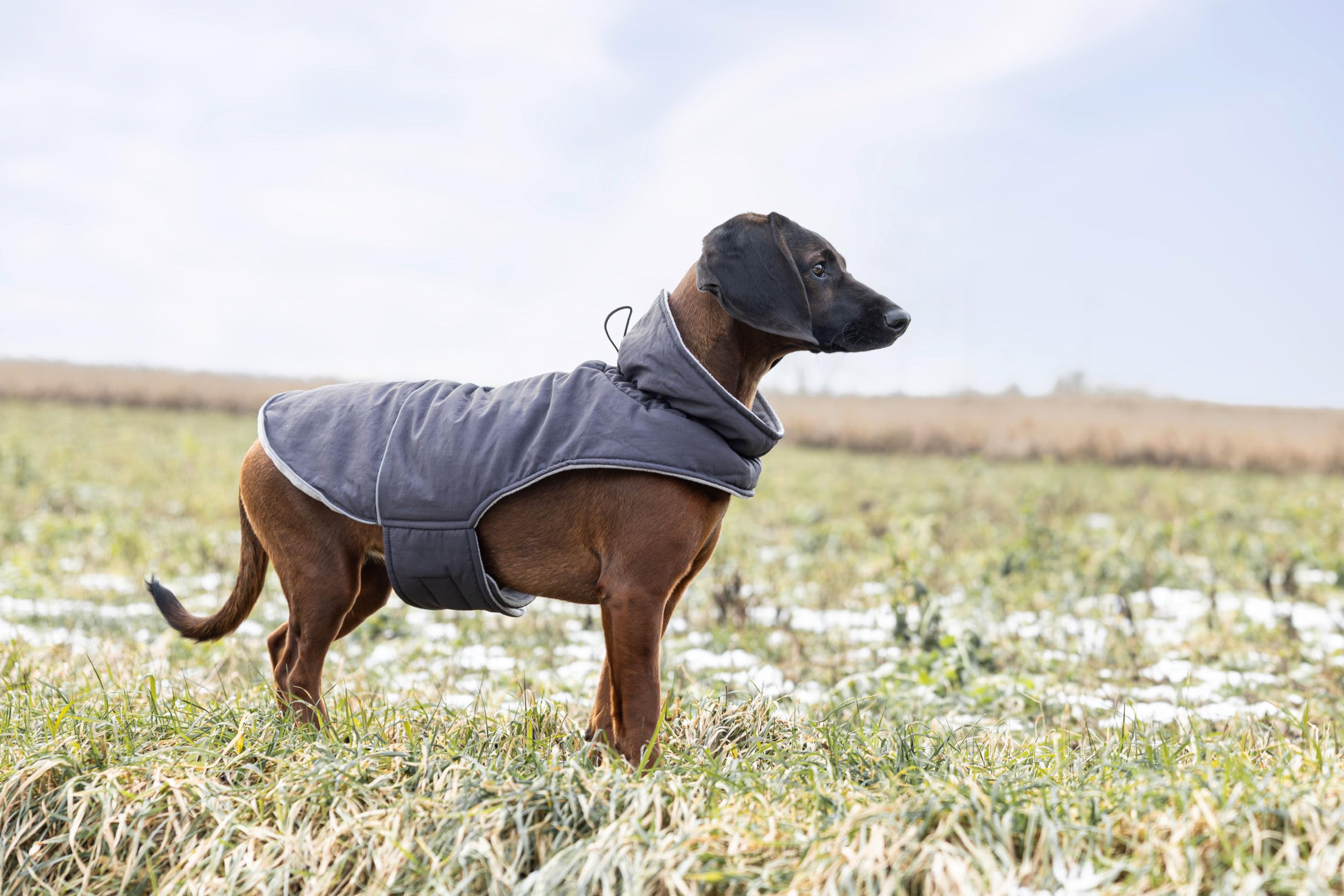 kerbl-pet-hundemantel-montreal-grau-xs-30-cm-wind-und-wasserabweisende-hundejack image 8
