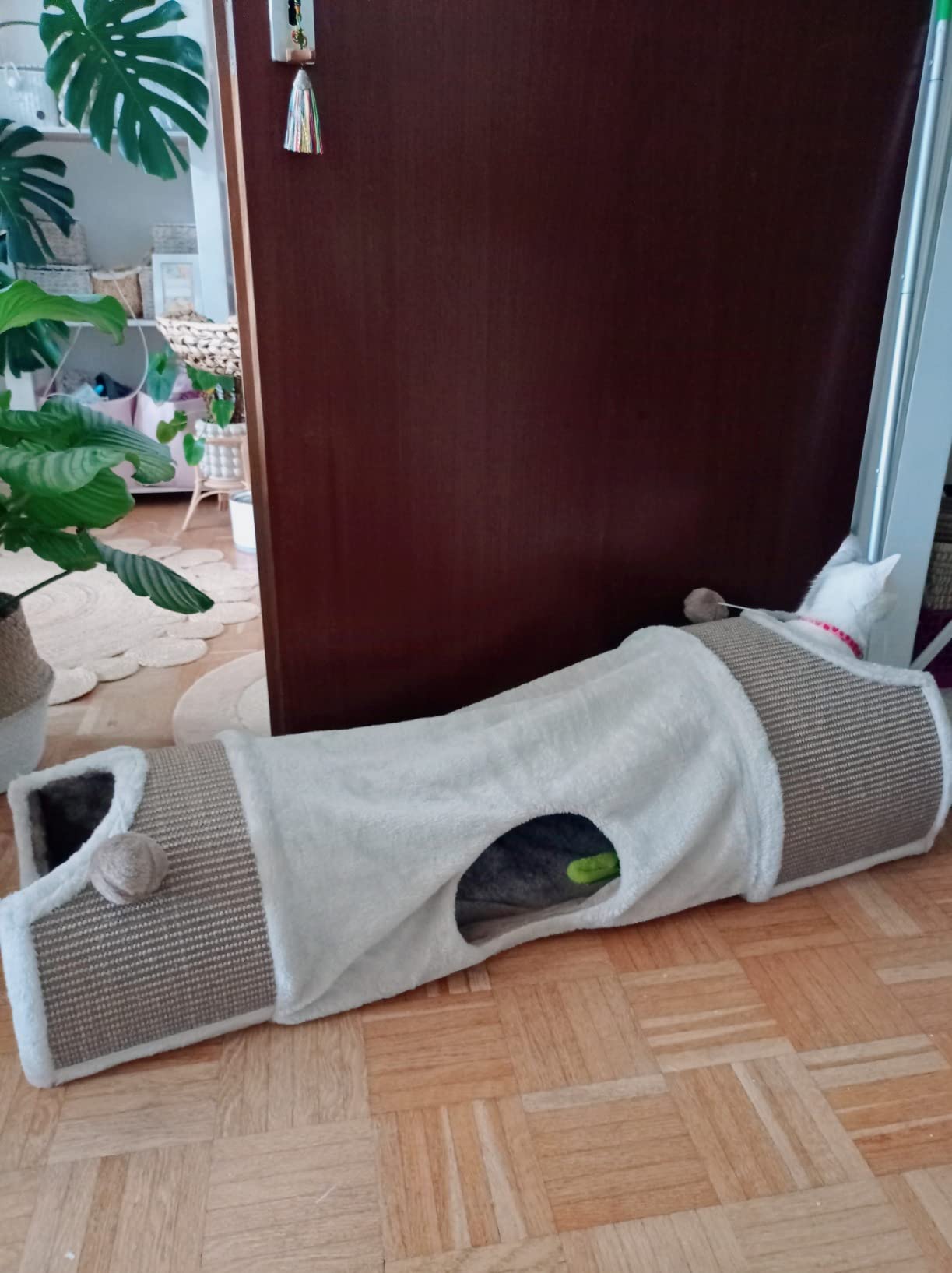 Gut, aber nichts für schwere Katzen