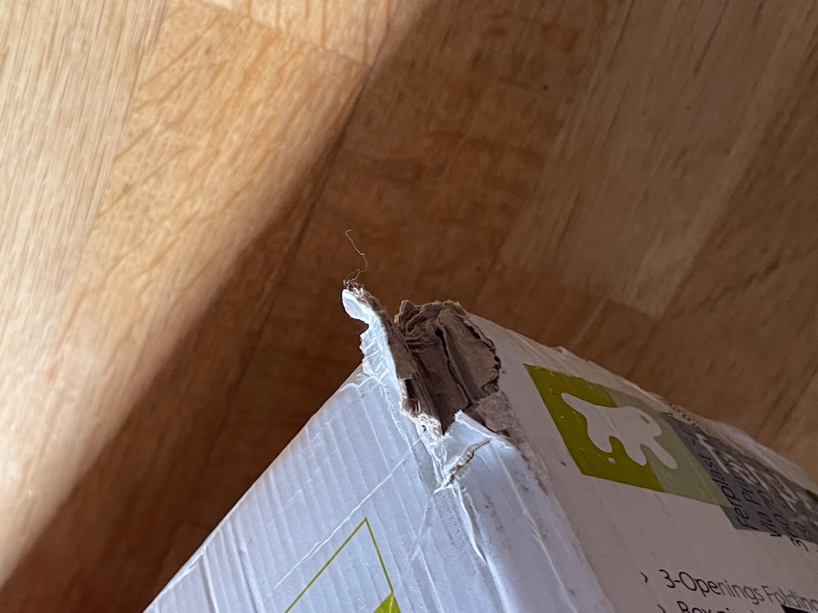 Sehr solide Box