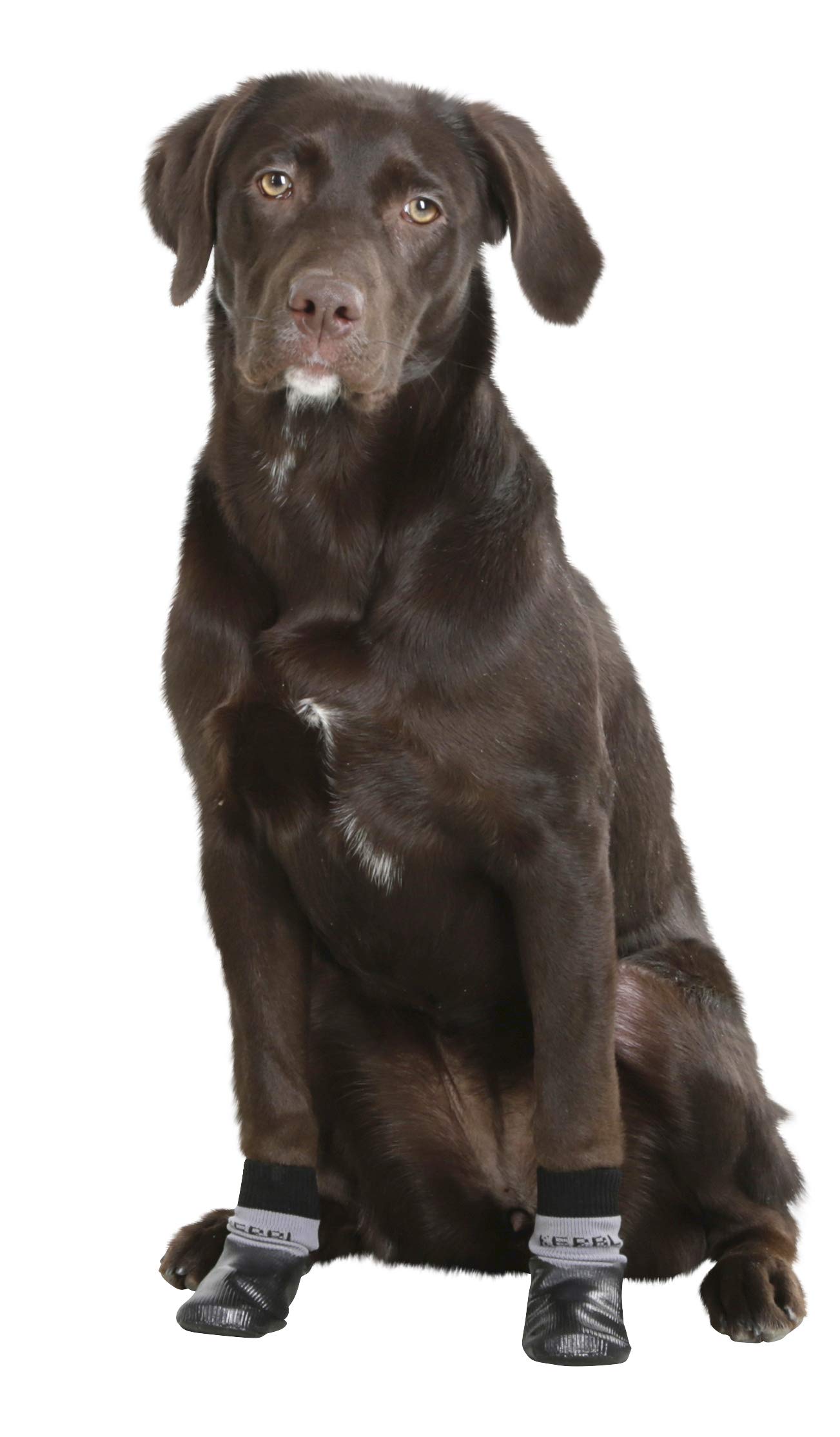 kerbl-pet-hundesocken-susi-mit-nitril-beschichtung-gr-e-m image 3