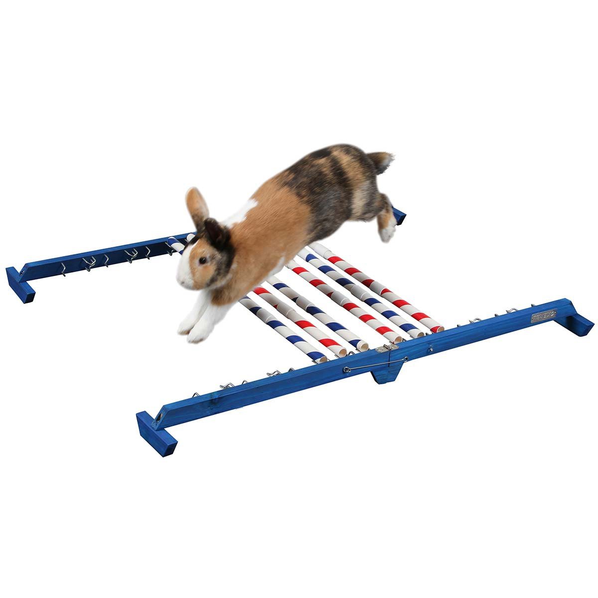 kerbl-pet-agility-kombisprung-f-r-nager-h-he-53-cm image 3