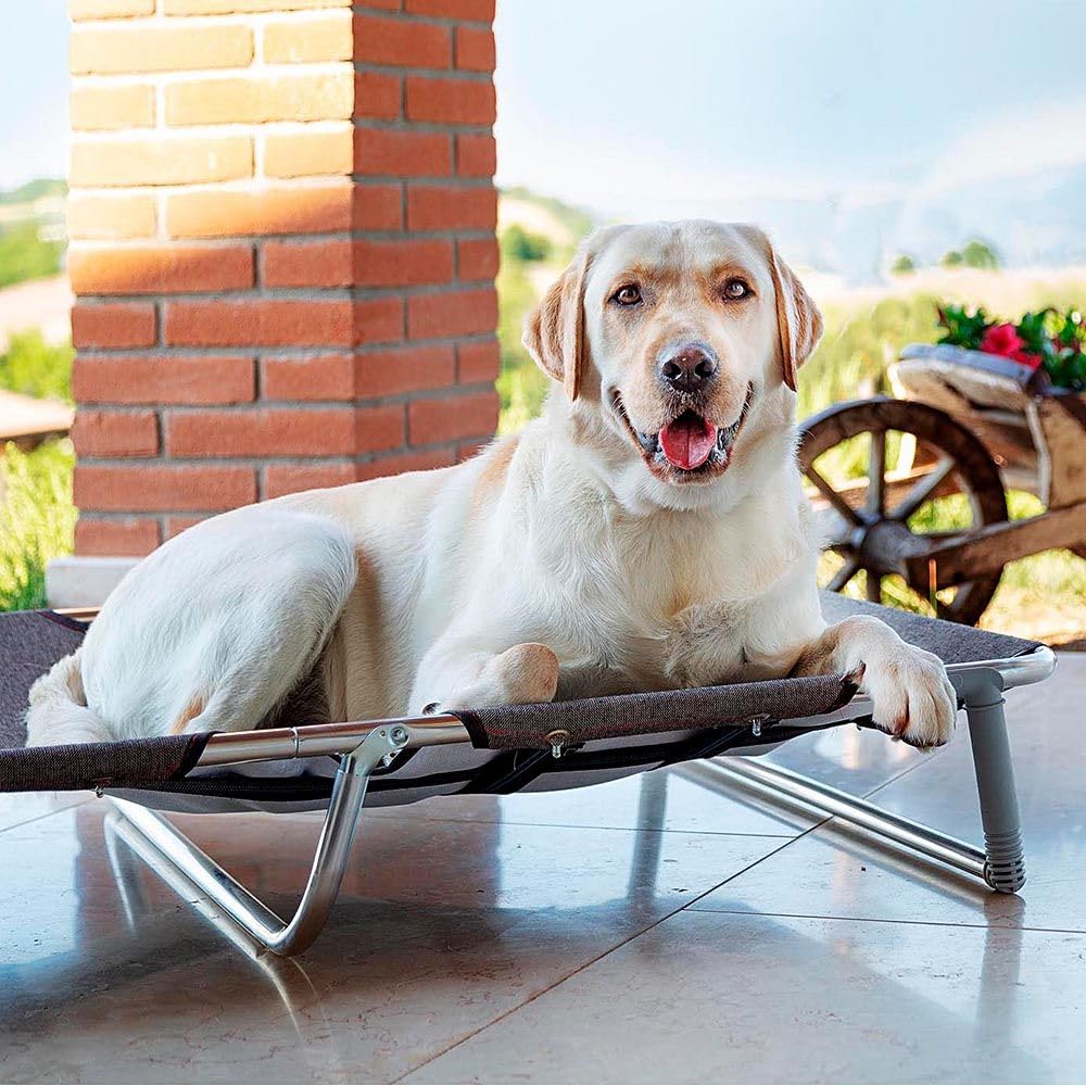 ferplast-dream-115-klappbett-f-r-hunde-hundeliege-taupe-119-x-79-x-h-18-cm image 4