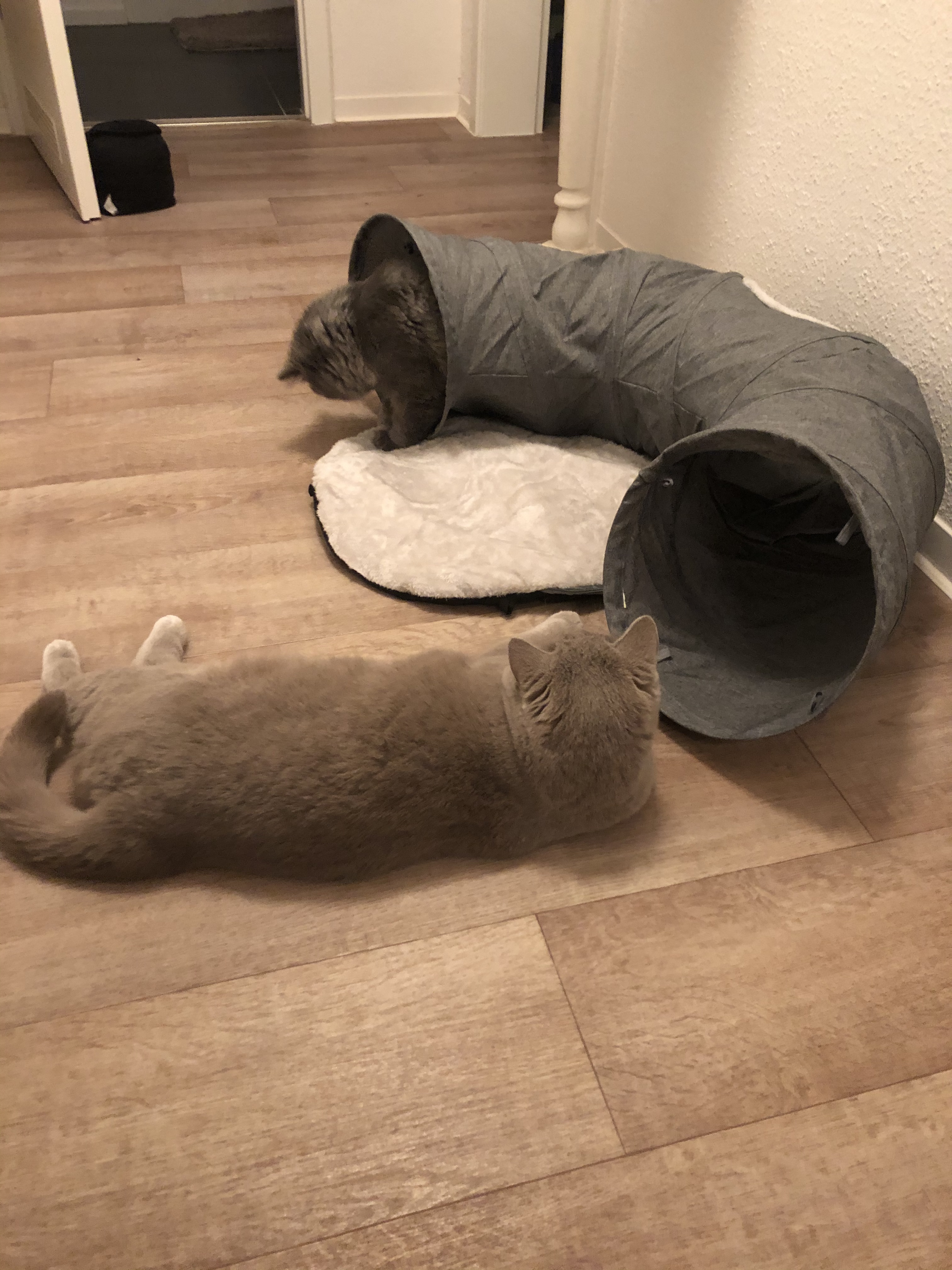 Praktisch und gemütlich