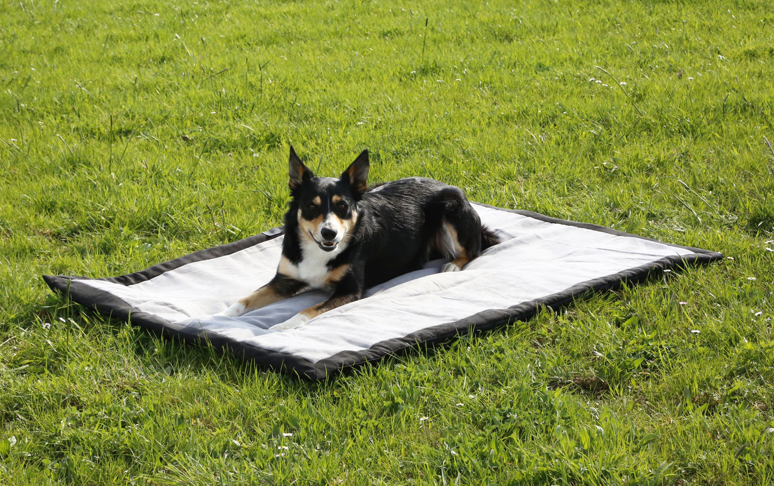 kerbl-pet-trip-hundematte-140-x-100-x-4-cm-grau-schwarz image 7