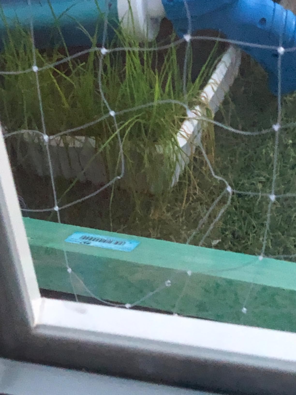 Balkon endlich katzensicher