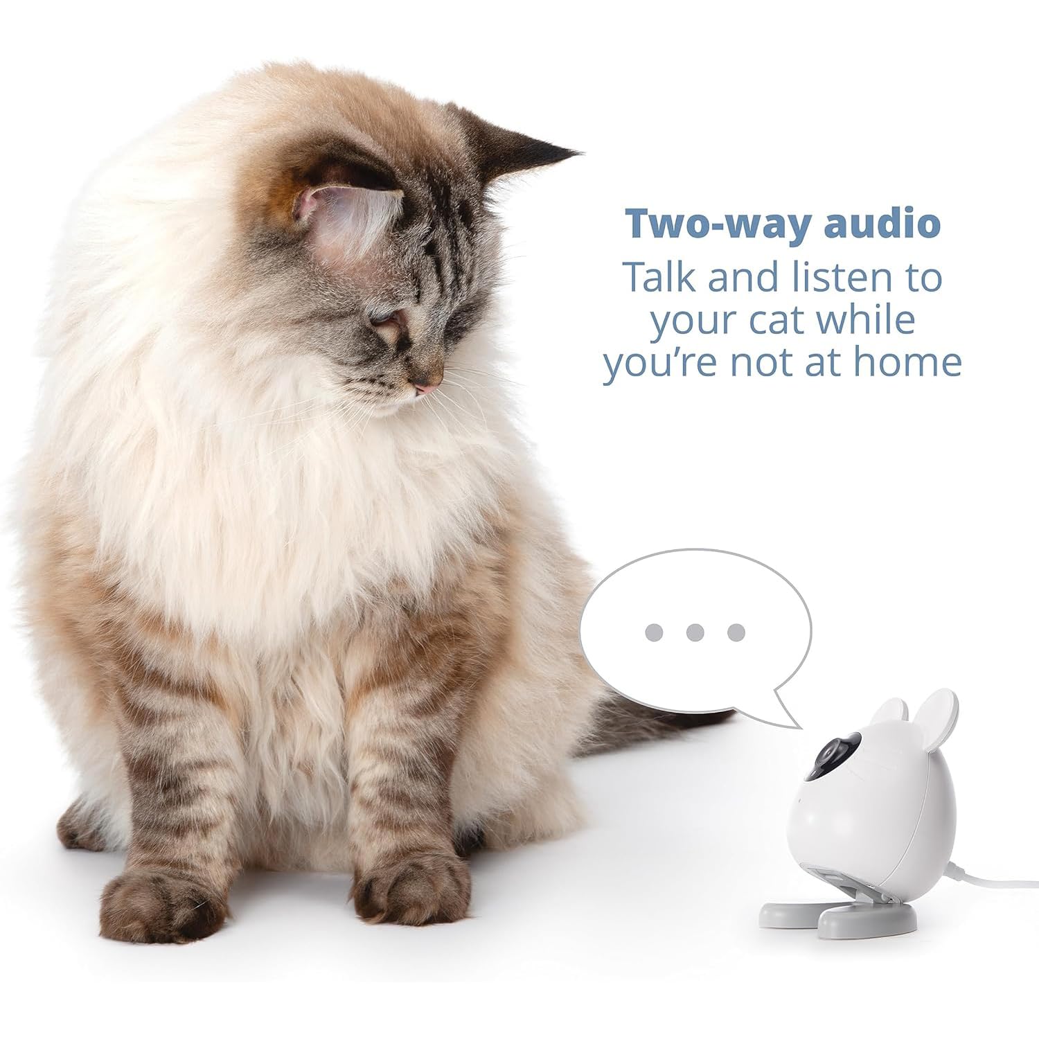 catit-pixi-smart-maus-haustierkamera-wei-app-gesteuert image 4