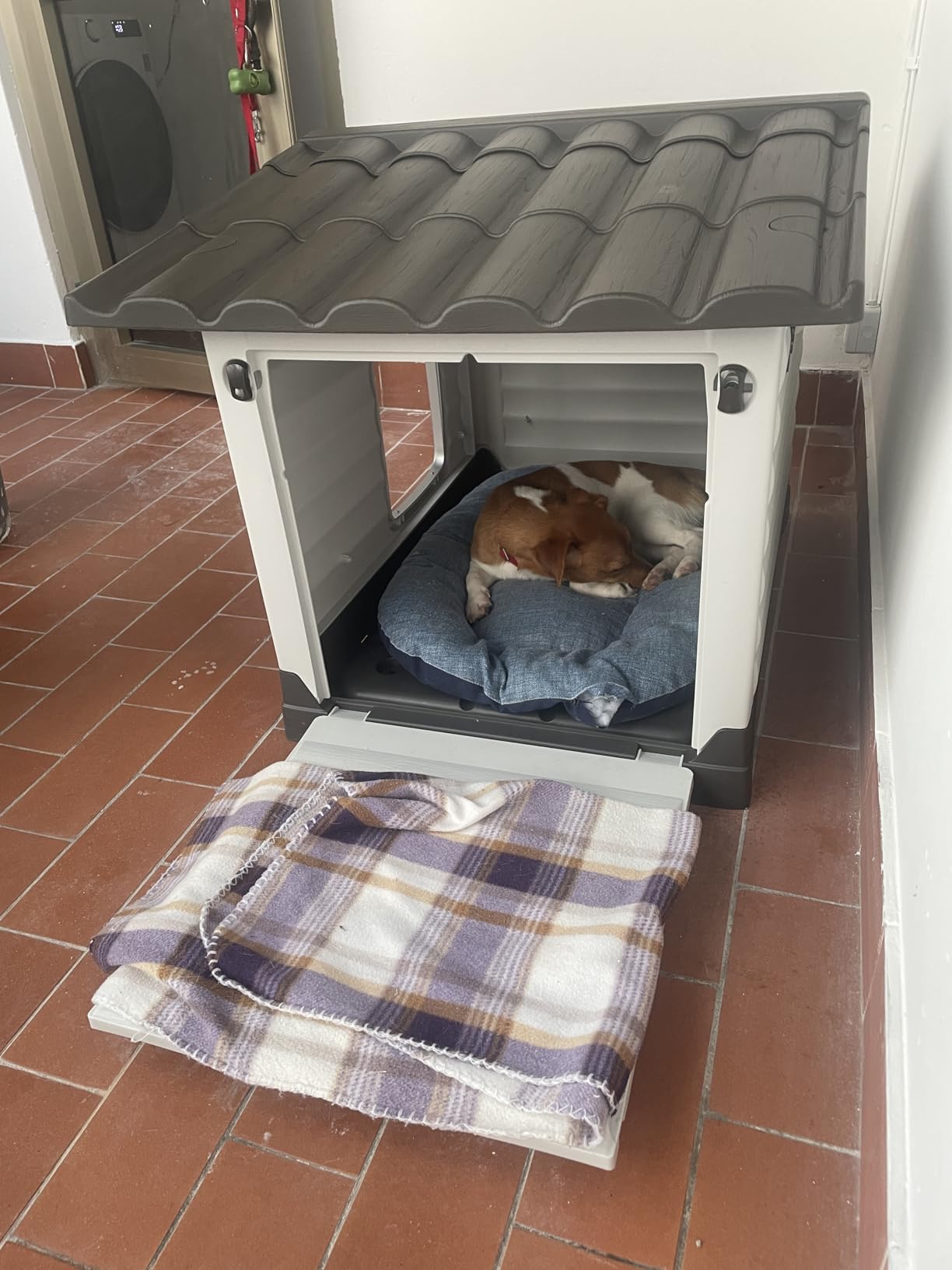 Super für unsere Hofkatzen