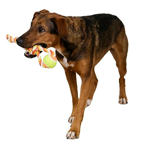 kerbl-pet-ball-am-tau-37-cm-orange-baumwolle-mit-tennisball image 4