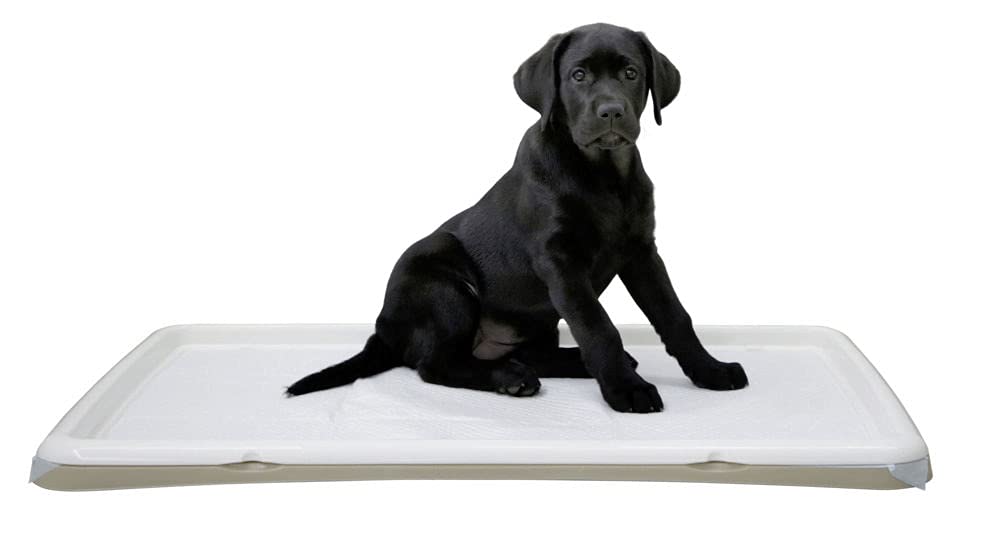 kerbl-pet-welpentoilette-xl-creme-90-x-60-x-4-cm-aus-kunststoff image 1