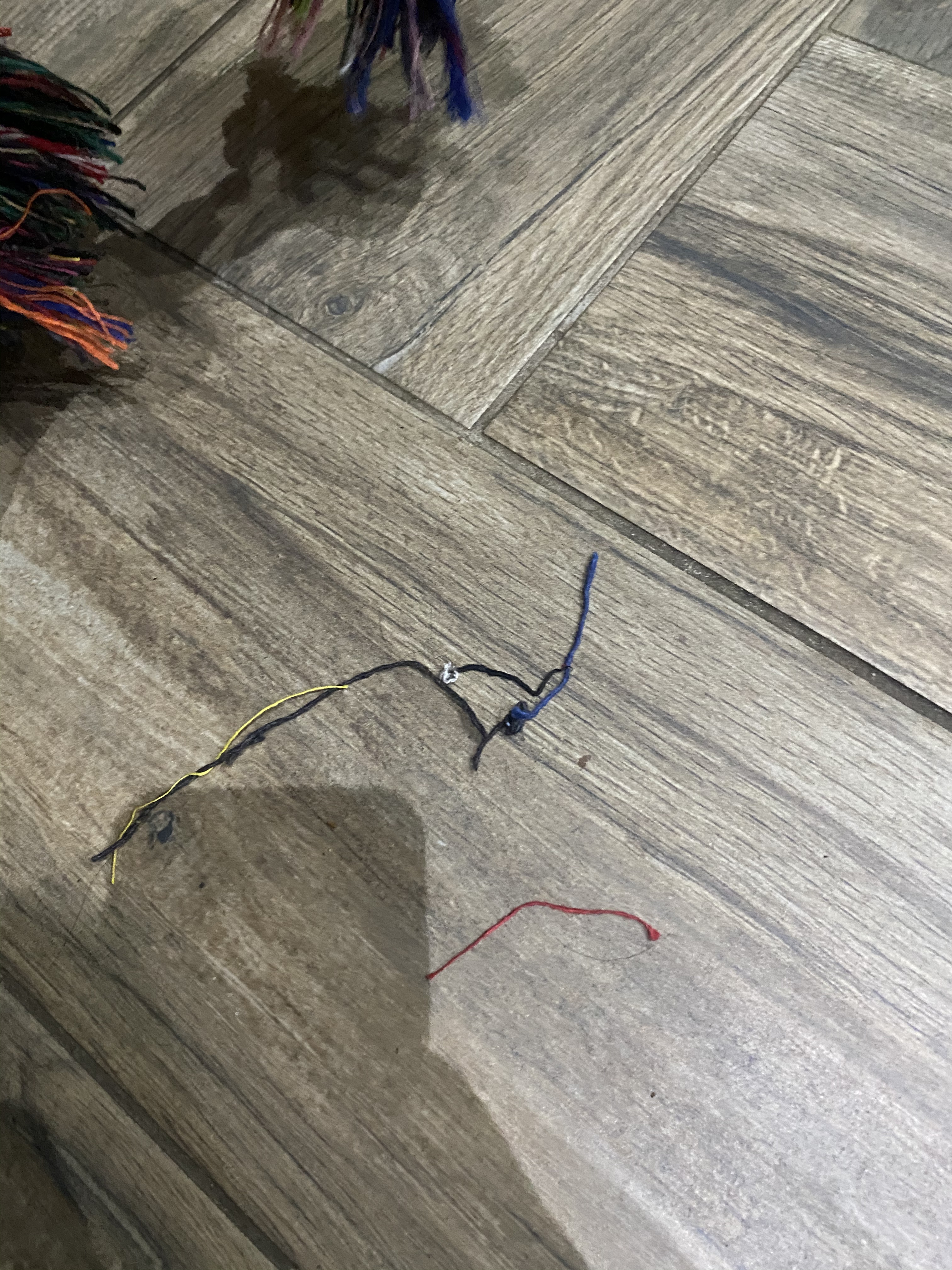 Perfekt für große Hunde