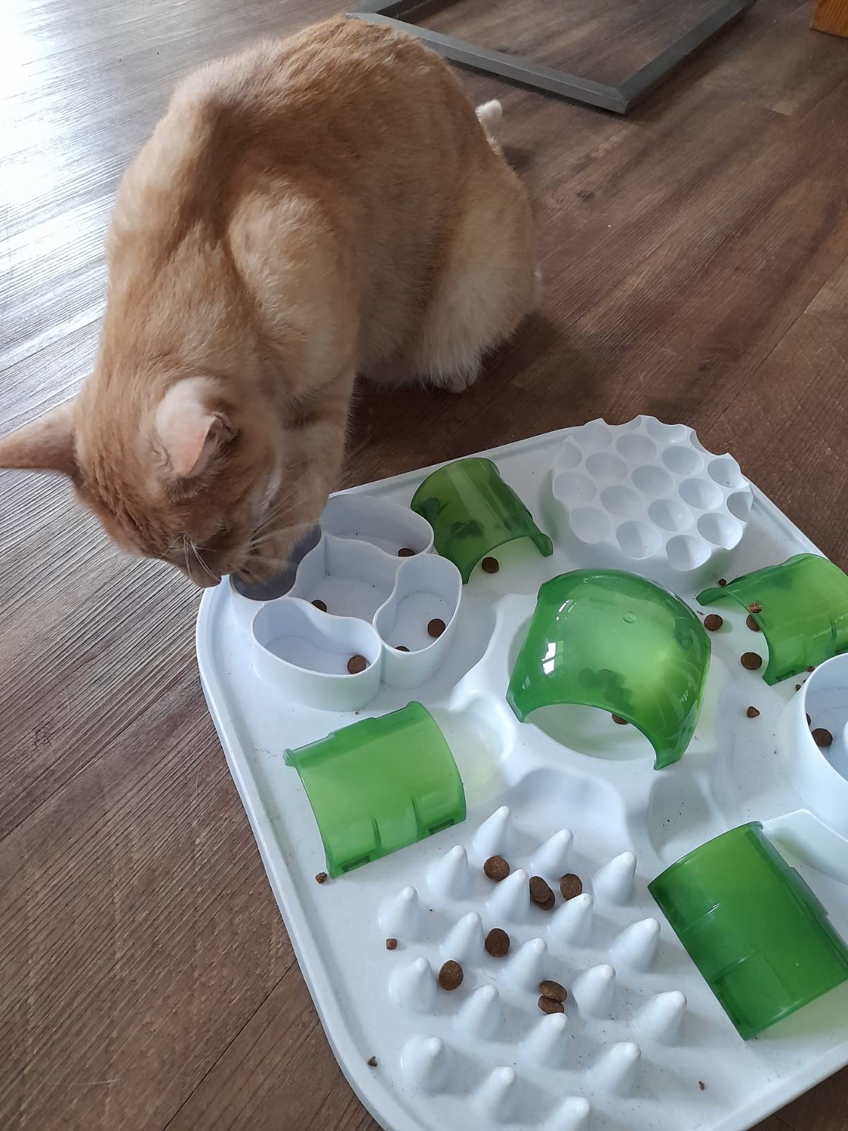 Für meinen Kater zu einfach