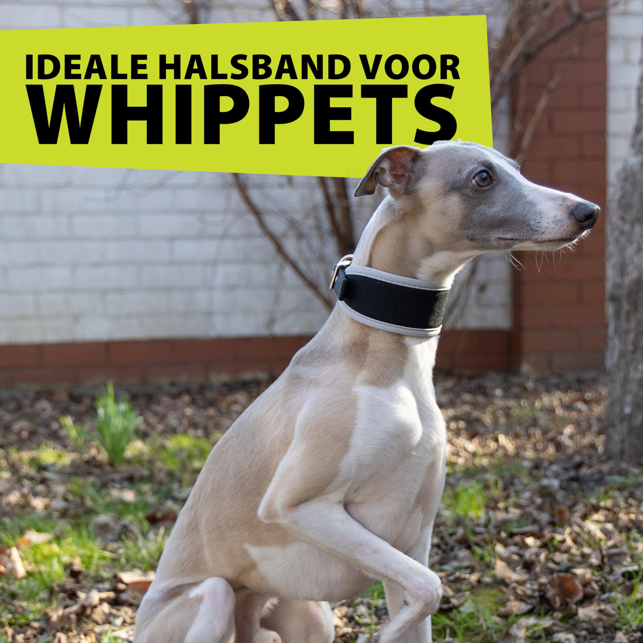 ferplast-ergocomfort-windhund-hundehalsband-cw15-32-nylon-mit-polsterung-silber- image 7