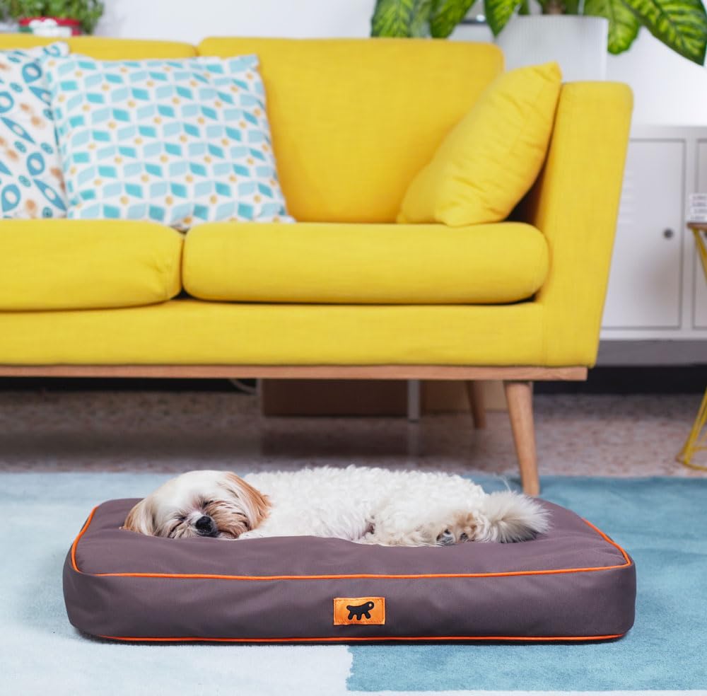 ferplast-polo-orthop-disches-hundebett-katzenmatte-s-65x40x8-cm-braun image 3