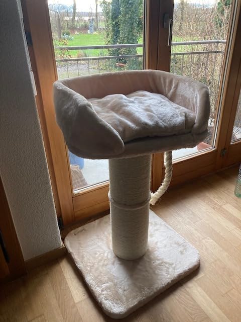 Ideal für große Katzen