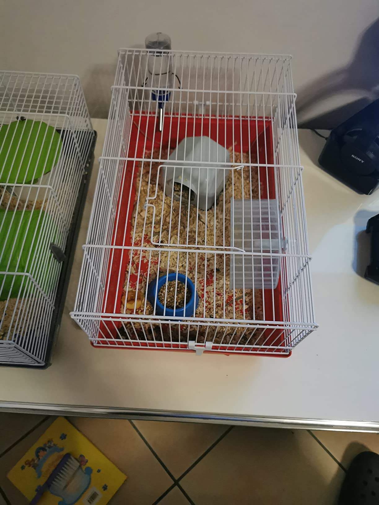 Gut für Zwerghamster