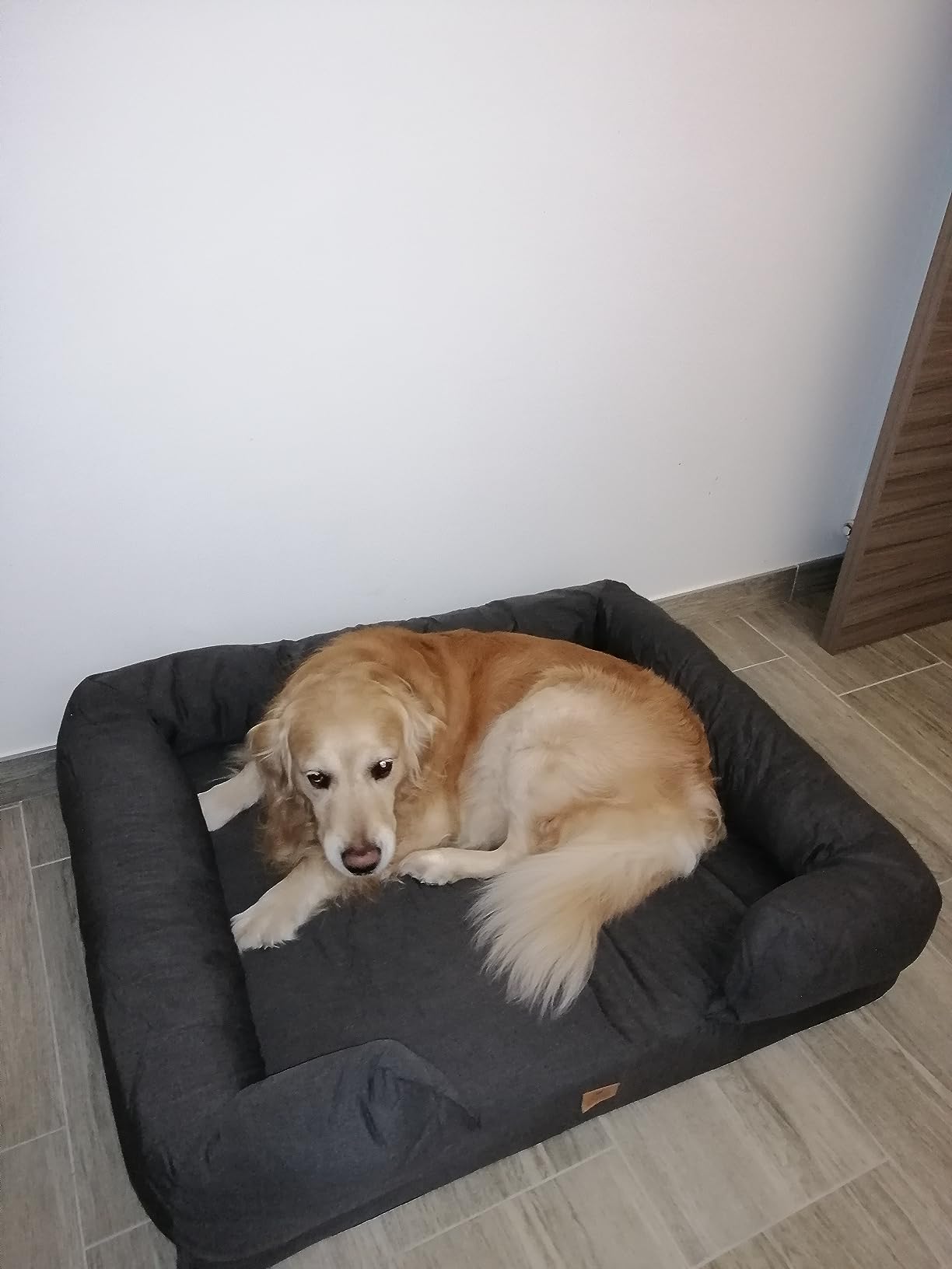 Sehr bequem für große Hunde