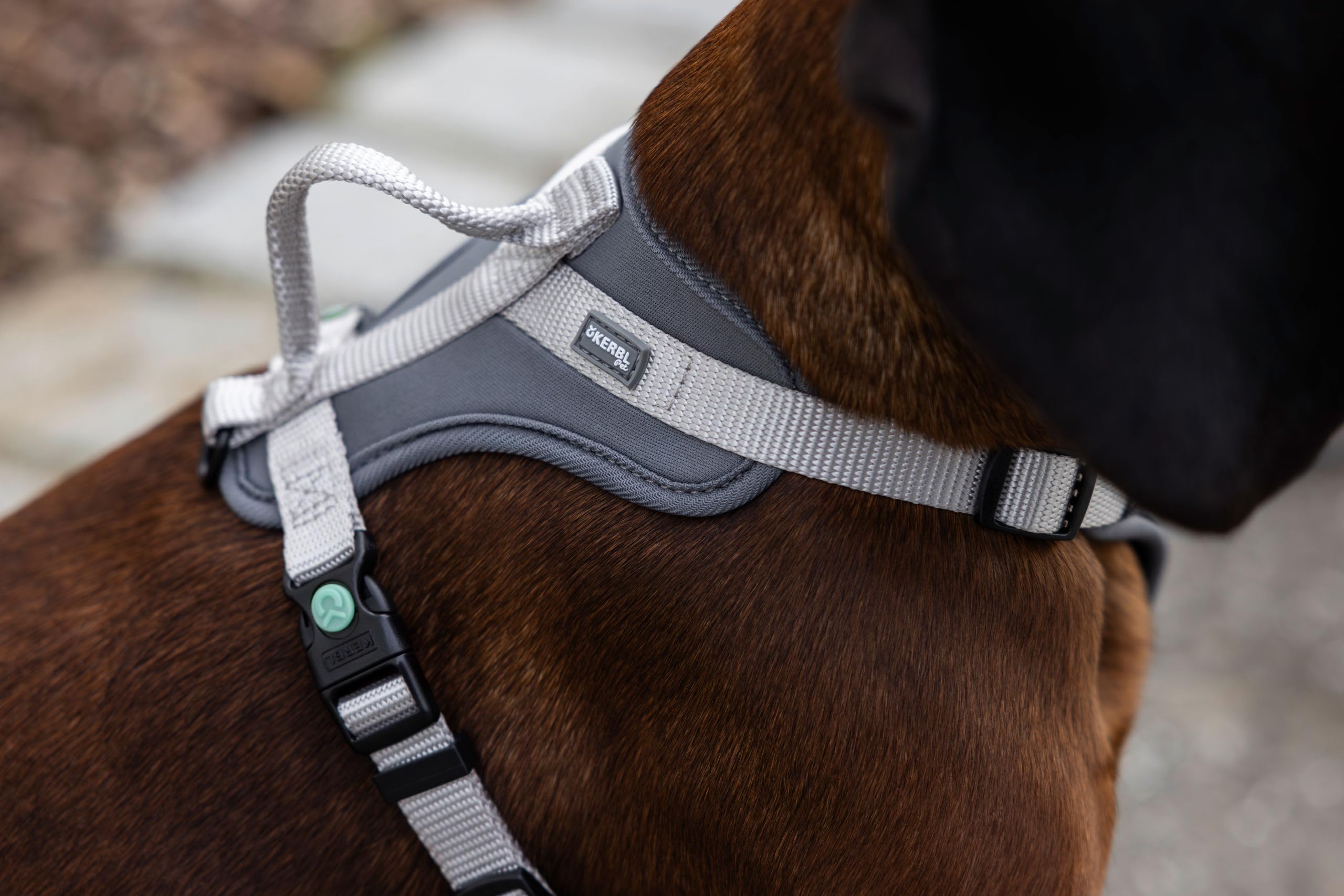 kerbl-pet-hundegeschirr-fitty-grau-beige-15-mm-30-50-cm-y-geschirr-nylon image 6