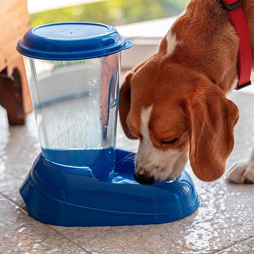 ferplast-nadir-drinker-wasserspender-f-r-hunde-und-katzen-3-liter-wei-29-2-x-20- image 2