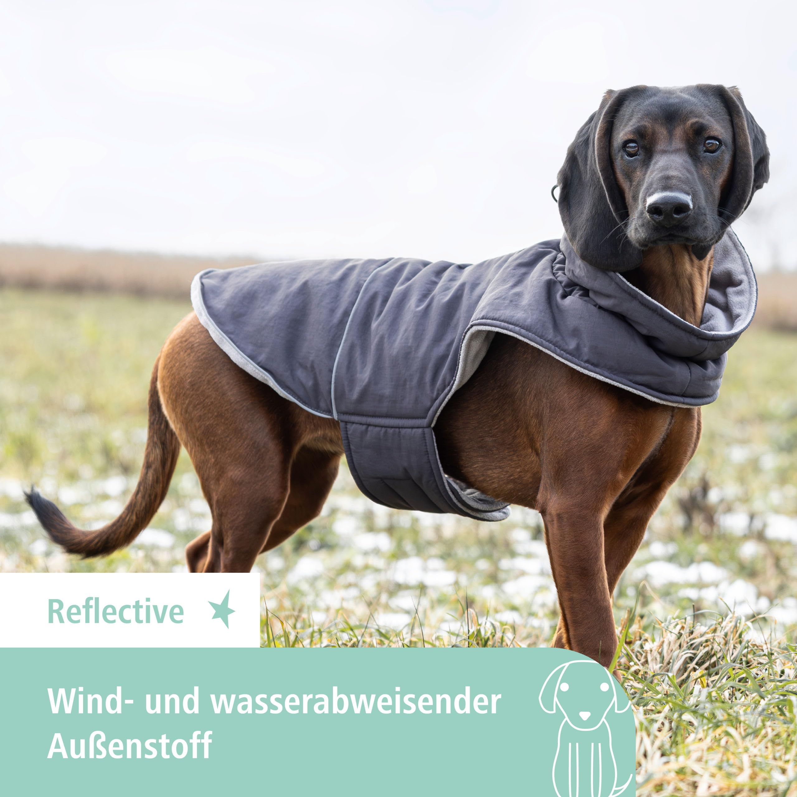 kerbl-pet-hundemantel-montreal-grau-xs-30-cm-wind-und-wasserabweisende-hundejack image 2